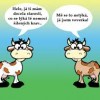 Nemoc šílených krav